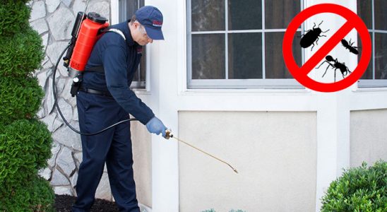 Hopa Fare İlaçlama böcek ilaçlama ve haşere kontrolü — ilaclama-tr.com